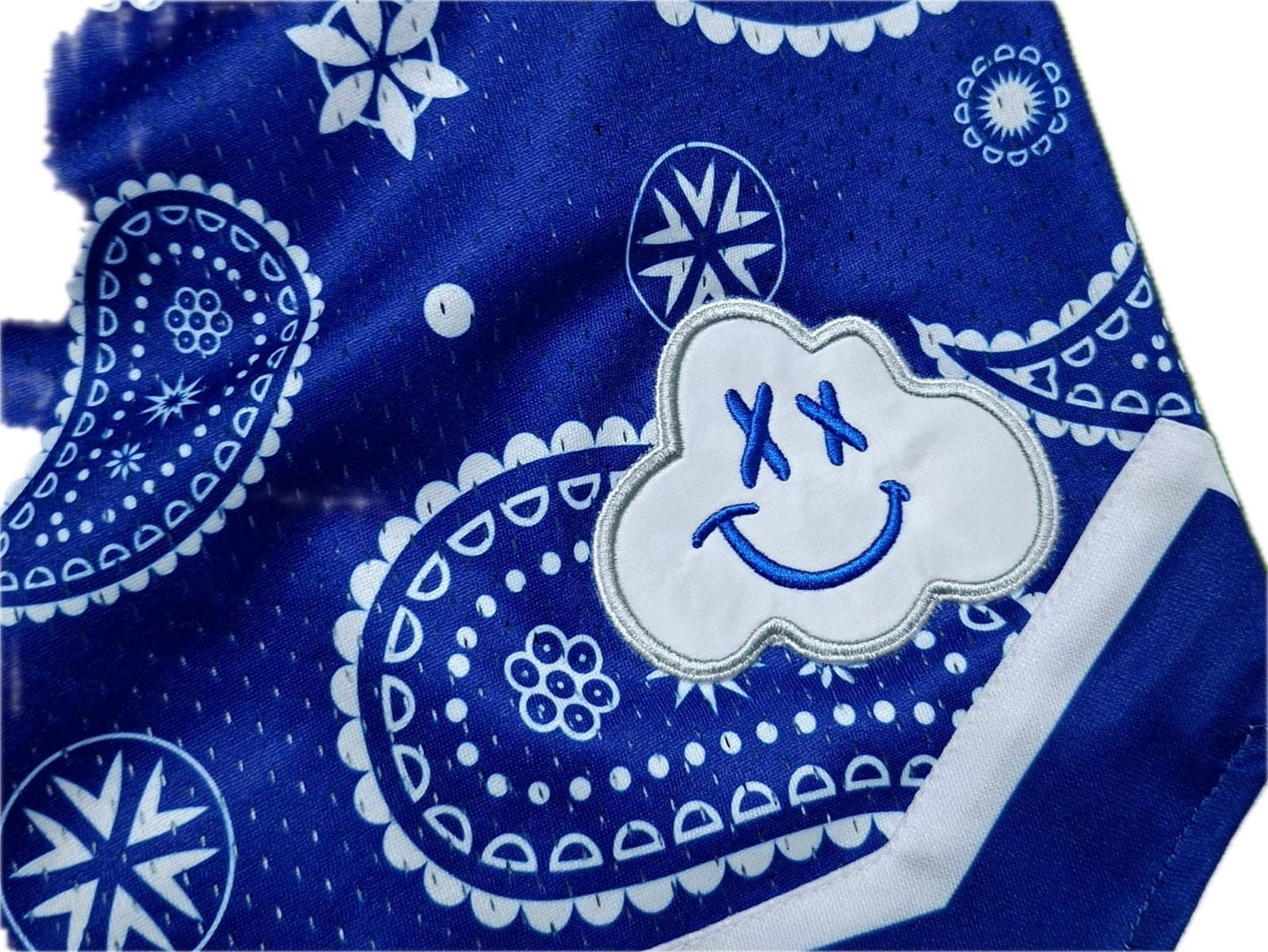 LA Street Blue Bandana Shorts